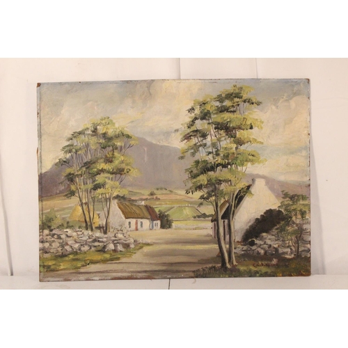 283 - A vintage unframed oil painting of Donegal Cottages, signed K C McKeown.