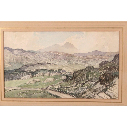 297 - A framed mixed media drawing of a mountain scene, signed.