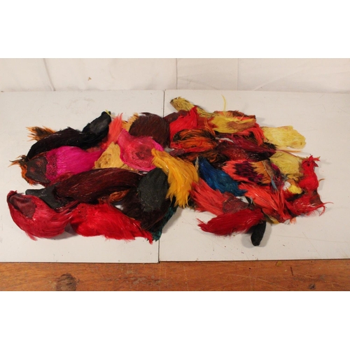 415 - A large lot of assorted dyed fly tying feathers.