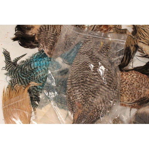 418 - A large lot of assorted fly tying feathers.