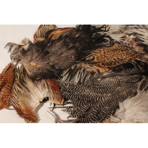 420 - A large lot of assorted fly tying feathers.