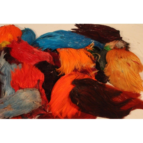 421 - A large lot of assorted dyed fly tying feathers.