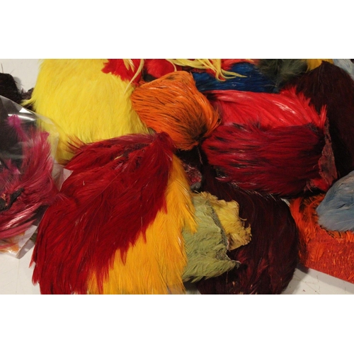 421 - A large lot of assorted dyed fly tying feathers.