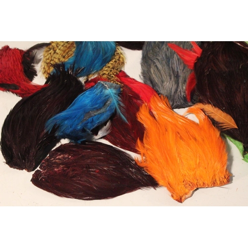 425 - A large lot of assorted fly tying feathers.