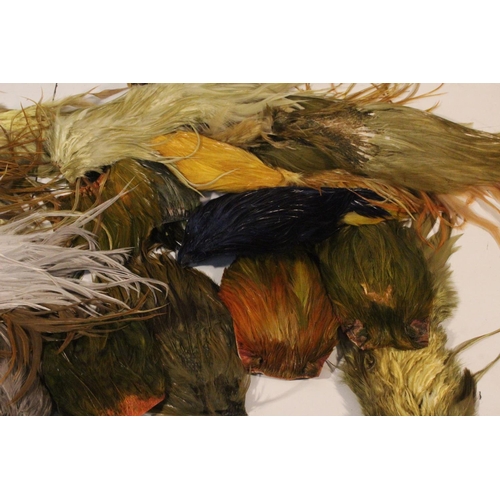 428 - A large lot of assorted fly tying feathers.