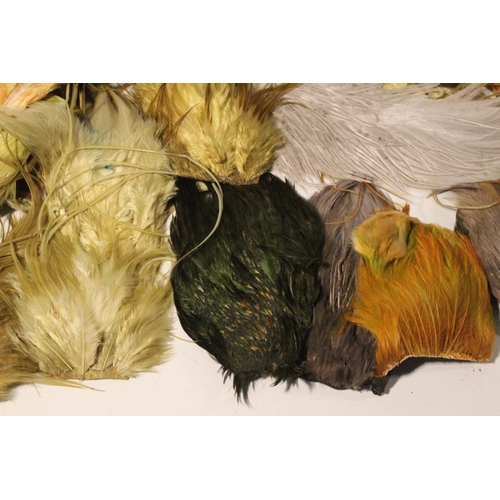 428 - A large lot of assorted fly tying feathers.