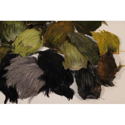 430 - A large lot of assorted fly tying feathers.