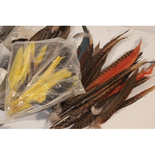 435 - A large lot of assorted fly tying feathers.