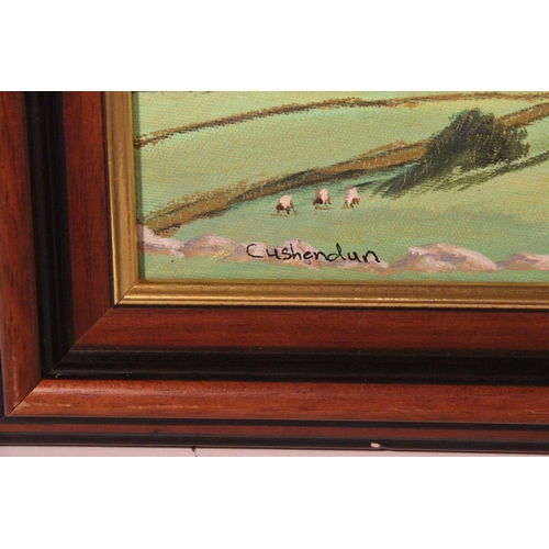 564 - A framed oil painting 'Cushendun' signed Alister Mackay.