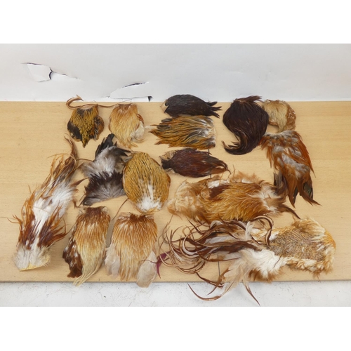 357 - A mixed lot of Nat Cock Cape feathers