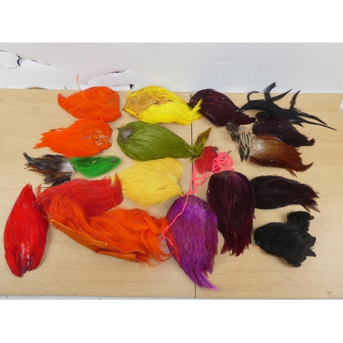 374 - A large lot of dyed feathers.