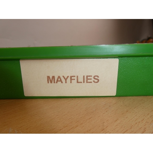 399 - A cased set of assorted mayflies.