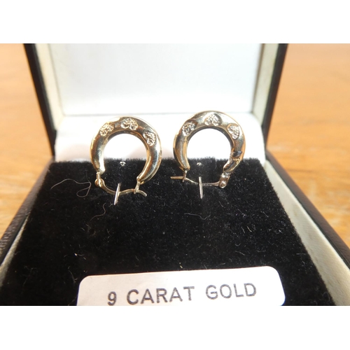 107 - A pair of 9ct yellow gold earrings.