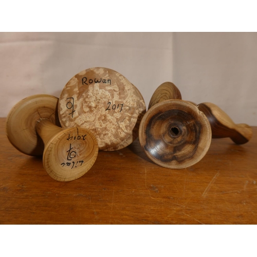 254 - A collection of wood turned items, to include a mushroom, tree & more.