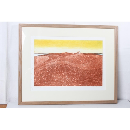 251 - A stunning large gilt framed limited edition etching 'Shingle Street Cottages' 7/50 - John Brunsdon,... 