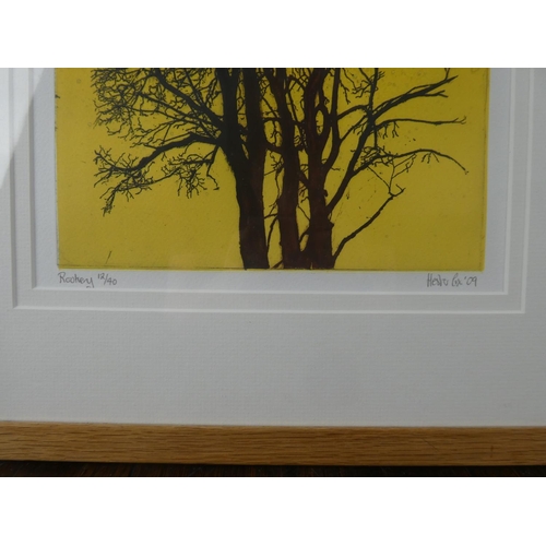 140 - A stunning framed limited edition Collagraph print 'Rookery' 12/40 signed Hester Cox '09.