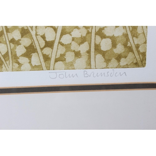 66 - A large gilt framed limited edition etching 141/150 - John Brunsdon, including frame 33