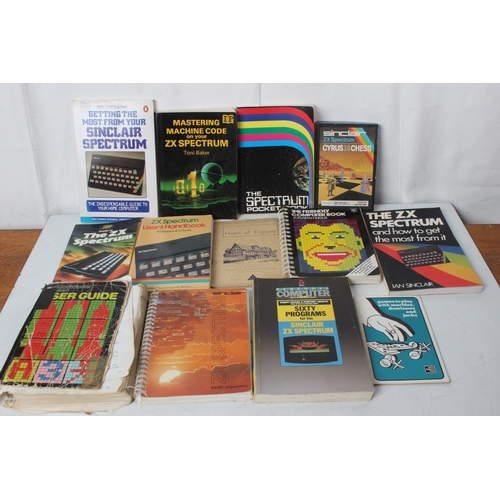 376 - A lot of vintage ZX Spectrum books.