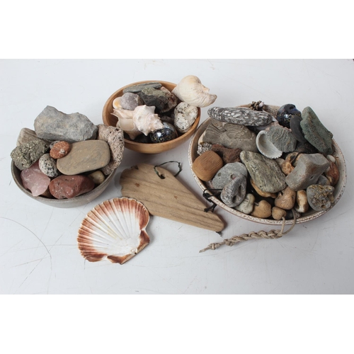 351 - A collection of Hag stones, shells and more.