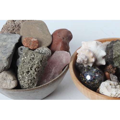 351 - A collection of Hag stones, shells and more.