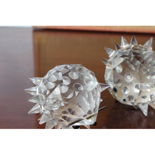 31 - Two Swarovski crystal hedgehogs.