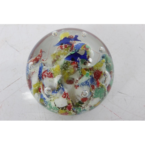 112 - A large vintage 'Fish and Sea Urchin' design glass paperweight.