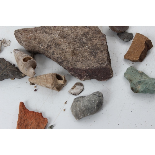 187 - An assorted lot of various fossils & mineral samples.