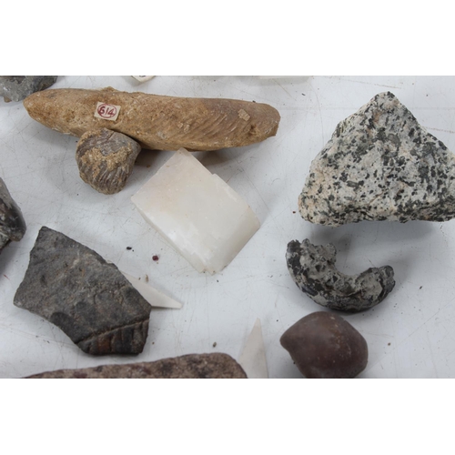 187 - An assorted lot of various fossils & mineral samples.