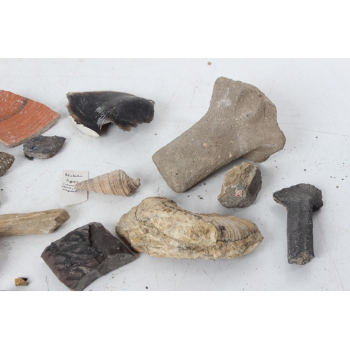 191 - An assorted lot of various fossils & mineral samples.