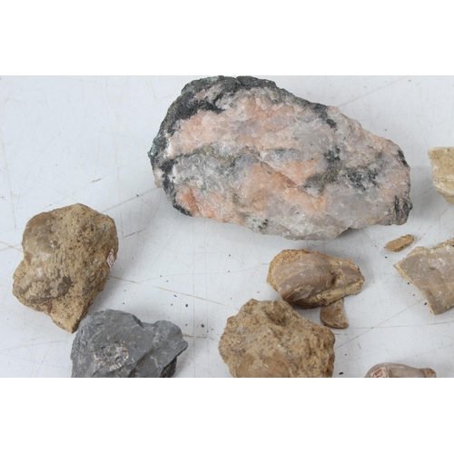 194 - An assorted lot of various fossils & mineral samples.