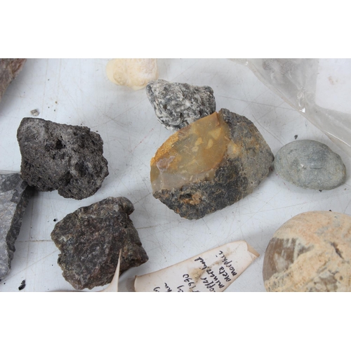 198 - An assorted lot of various fossils & mineral samples.