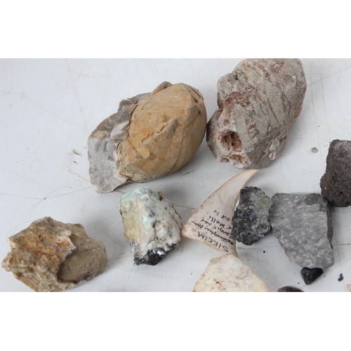 198 - An assorted lot of various fossils & mineral samples.