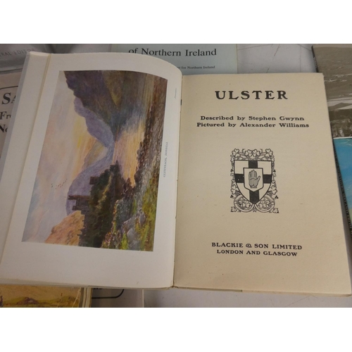 234 - An assortment of Irish interest books, to include Newgrange & the Bend of the Boyne, The Encyclopedi... 