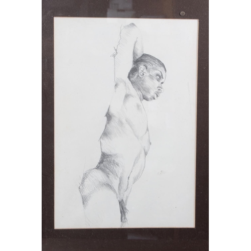 350 - A framed nude pencil drawing, along with a nude painting by Frank Nelson.