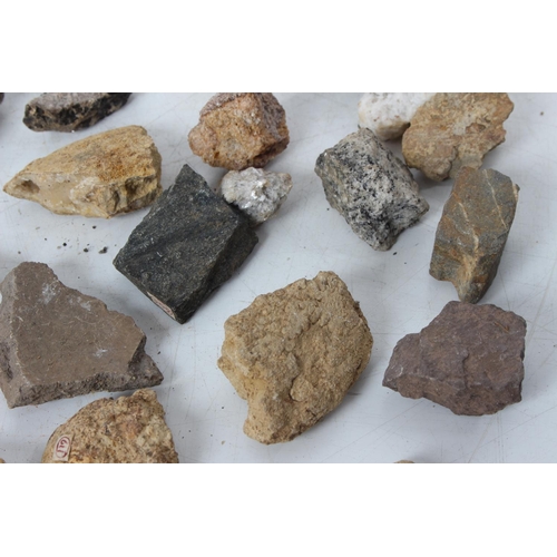 186 - An assorted lot of various fossils & mineral samples.