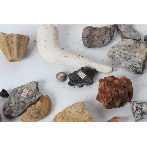 186 - An assorted lot of various fossils & mineral samples.