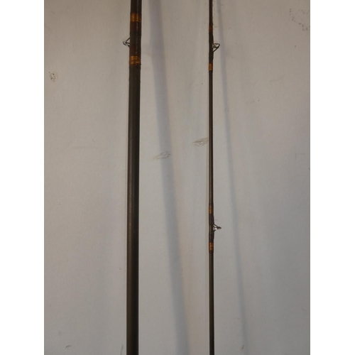 118 - A vintage two piece fishing rod.