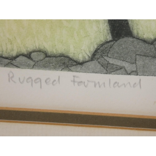 117 - A limited edition 115/150 linocut print, titled, 'Rugged Farmland', signed by artist John Brunsden, ... 