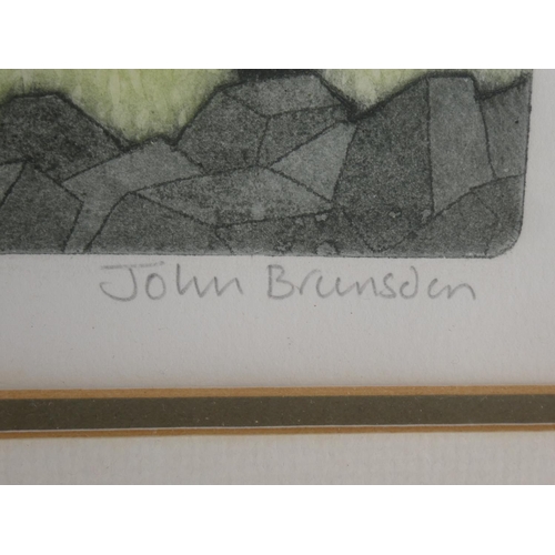 117 - A limited edition 115/150 linocut print, titled, 'Rugged Farmland', signed by artist John Brunsden, ... 