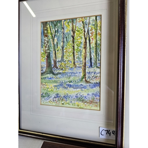 464 - A collection of 3 framed watercolour paintings by local artist, Ruth Irvine 'Trees at Flowerfield' a... 