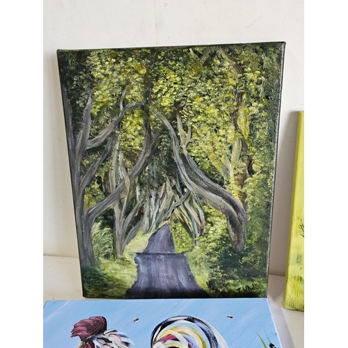 469 - A collection of 4 original oil on canvas paintings, by Irish Artist, J White, measuring (Dark Hedges... 