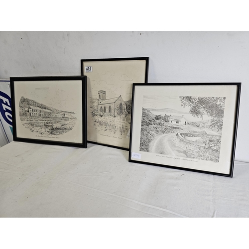 491 - 3 framed prints of Rathlin Island.