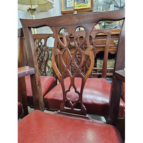 494 - A stunning set of 6 antique Irish Georgian dining chairs, to include 1 carver. Each chair has been r... 