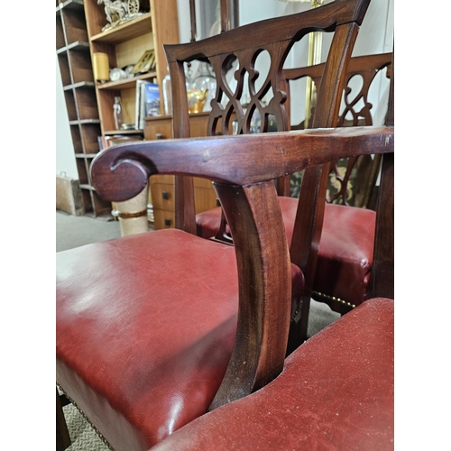 494 - A stunning set of 6 antique Irish Georgian dining chairs, to include 1 carver. Each chair has been r... 