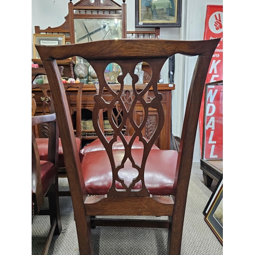 494 - A stunning set of 6 antique Irish Georgian dining chairs, to include 1 carver. Each chair has been r... 