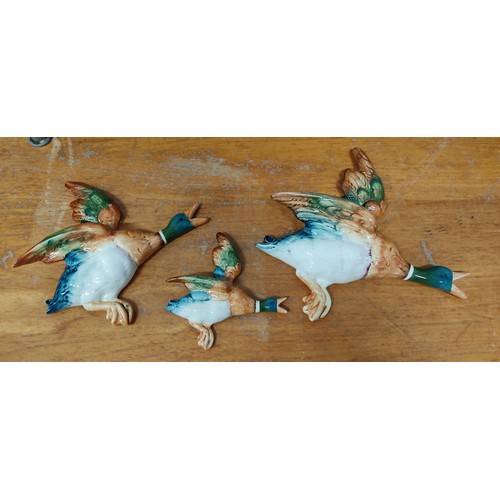 67 - A set of three vintage Beswick flying ducks. (old repairs)