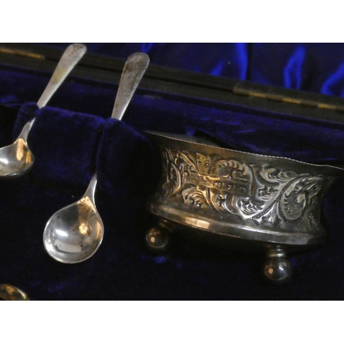 195 - A stunning cased antique Sterling Silver salt pot and spoon set.