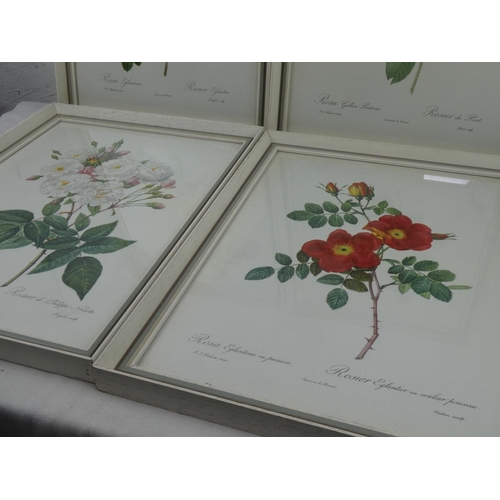 142 - A set of four vintage framed French floral prints, measuring 34cm x 44cm including frame.