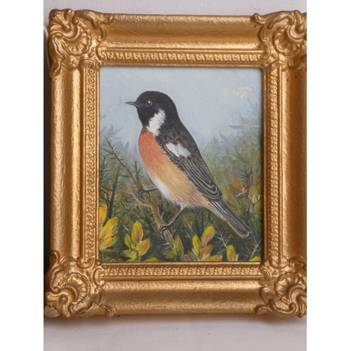 85 - Two stunning gilt framed oil paintings of birds signed K Woods and another unsigned, measuring inclu... 