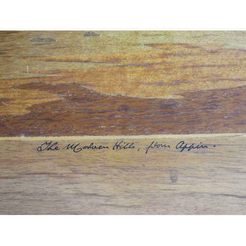 195 - A decorative marquetry panel, 'The Morven Hills from Appin', made from various woods, signed on rese... 